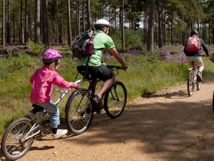 Mountain Biking at Alice Holt Forest