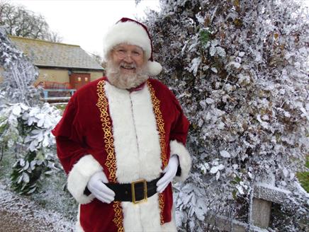 Magical Christmas at Finkley Down Farm