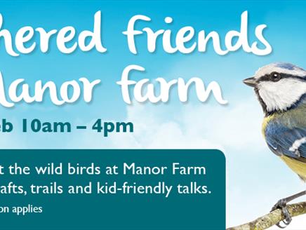 Feathered Friends of Manor Farm