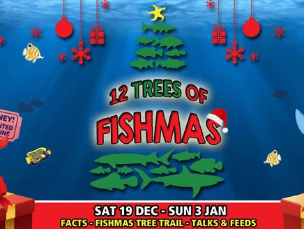 12 Trees of Fishmas at Blue Reef Aquarium