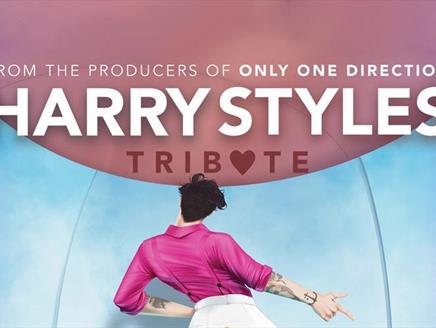 Harry Styles tribute