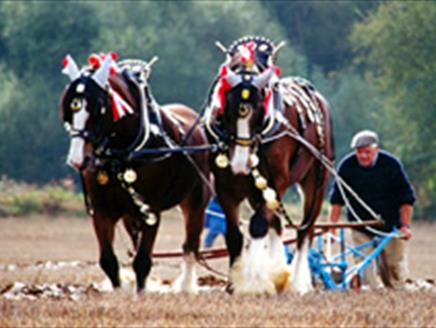 Great All England Horse Ploughing Match, Country Fair & Fun Family Dog Show at Charford Manor Farm