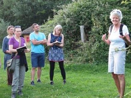 Free Talk: Celtic Herbs with Sarah Furey at Butser Ancient Farm