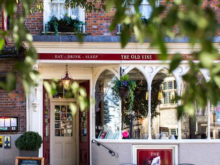 The Old Vine, Winchester