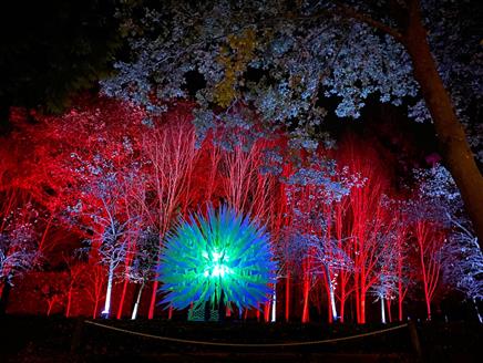The Christmas Illuminated Garden Adventure