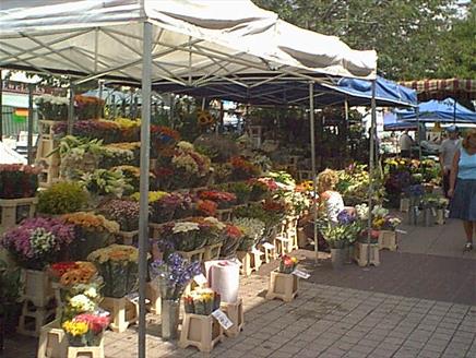 Waterlooville Market