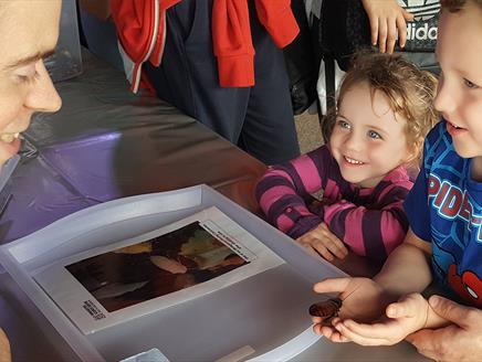 Mighty Minibeasts at Winchester Science Centre