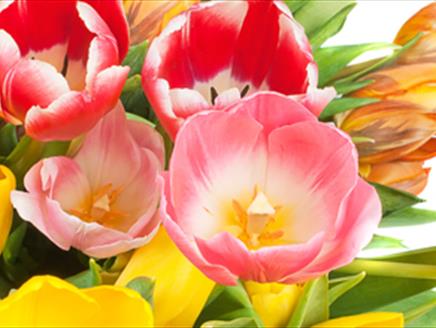 Mothering Sunday Afternoon Tea at Winchester Cathedral