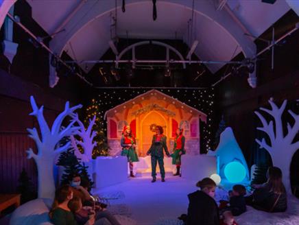 The Christmas Switch at Proteus Basingstoke
