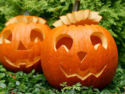 Pumpkin Carving at Exbury Gardens & Steam Railway
