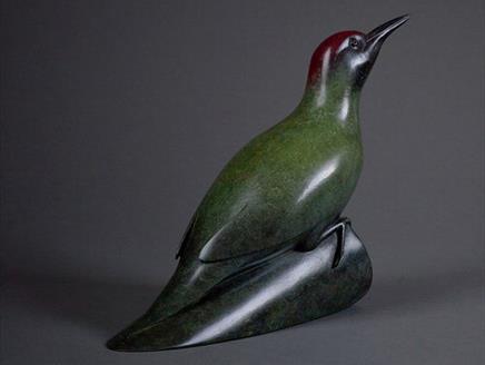 Birds of the New Forest by Geoffrey Dashwood and Chris Packham