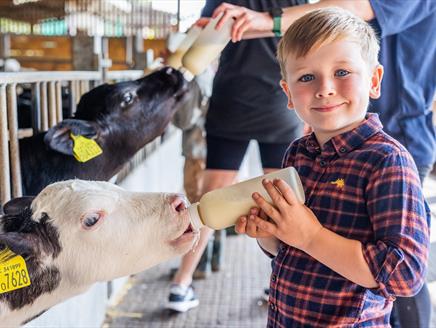 Longdown Activity Farm