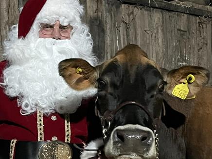 Join us for cow cuddles with Santa