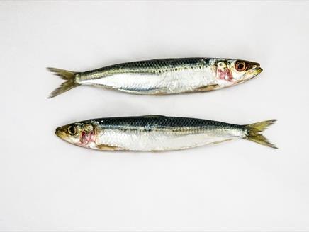 Fish and Seafood at Season Cookery School at Lainston House