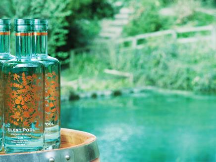 Silent Pool Gin Night with Symes Interiors