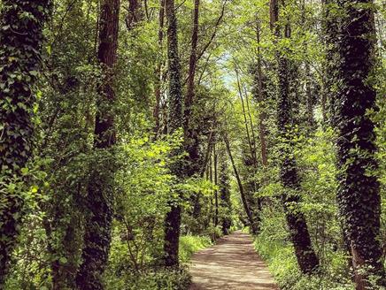 Shipwrights Way walk a path near Liss