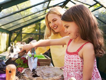 Family Workshop - Make a Hanging Basket at Exbury Gardens & Steam Railway