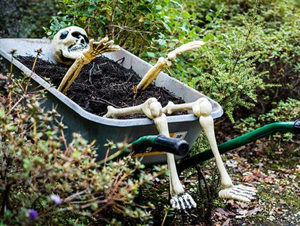Spooky Skeleton Trail at Exbury Gardens