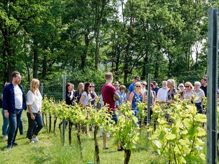 Wine, Beer and Gin Tasting Tours with Grape and Grain Tours