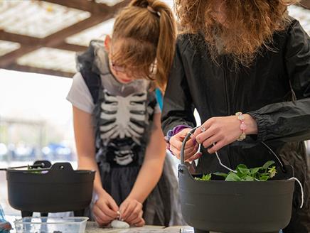 Make Your Own Spooky Garden