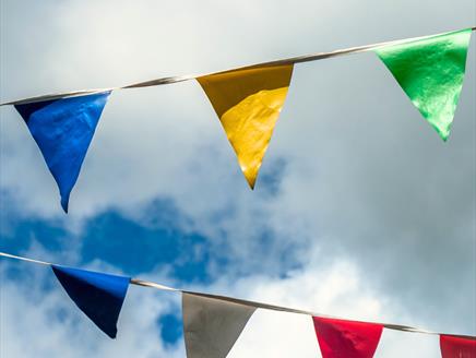 Bunting in the blue sky