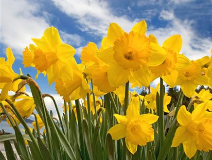 Mothering Sunday at Winchester Cathedral