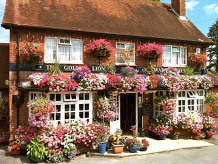 The Golden Lion Front Image