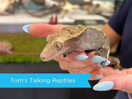 Tom's Talking Reptiles at Sky Park Farm