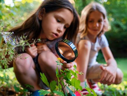 Children's Urban Safari at Winchester Cathedral