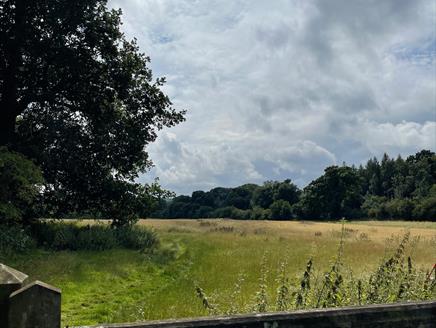 Chawton countryside