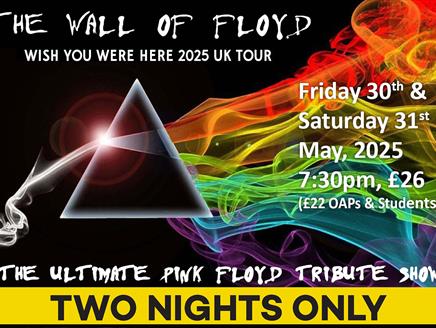 Wall of Floyd poster based on the Dark Side of the Moon album cover.