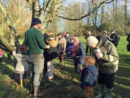 Wassailing at The Vyne