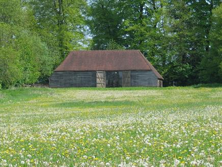 Wellbeing Workshop for Teachers at Gilbert White's House and Gardens