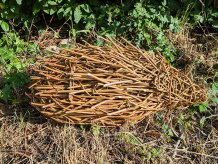 Willow hedgehog sculpture next to bushes