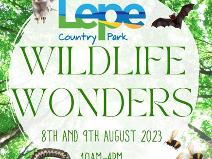 Wildlife Wonders at Lepe Country Park