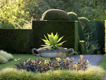 Spring guided walk at Hinton Ampner