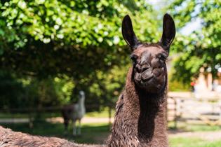 Staunton Farm - Visit Hampshire