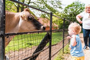 Staunton Farm - Visit Hampshire