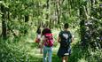 Walking in New Forest from Green Hill Farm