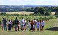 Hattingley Valley Wines Tour
