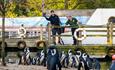 Feeding Penguins at Birdworld