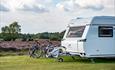 Camping New Forest
