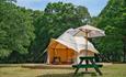 Camping New Forest