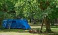 Camping New Forest