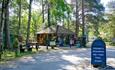 Camping New Forest