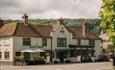 The Great decoy in Hampshire
