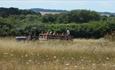 Hawk Conservancy Trust's Tractor Rides