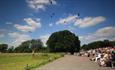 Bird Display at the Hawk Conservancy Trust