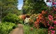 Flowers at Sir Harold Hillier Gardens