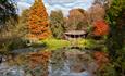 Autumn at Sir Harold Hillier Gardens